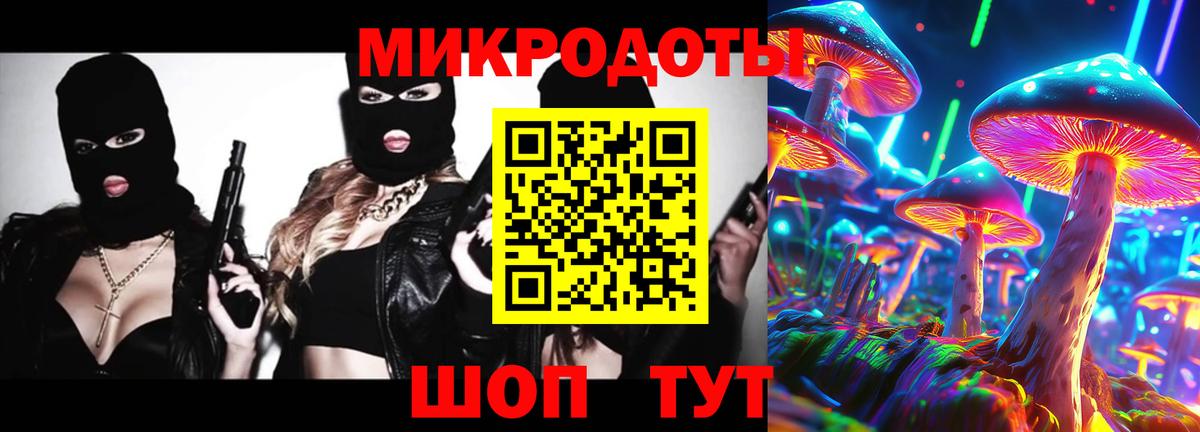 Камень-на-Оби  Псилоцибиновые грибы GOLDEN TEACHER  Галлюциногенные грибы MAGIC MUSHROOMS  Вход с VPN 